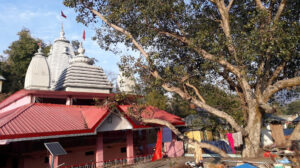 इस मंदिर में सोने से महिलाएं हो जाती है गर्भवती Image Credit- Google.com