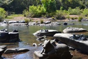 the-secret-behind-the-thousands-of-shivalingas-seen-in-this-river-in-karnatakaImage Credit- Google.com