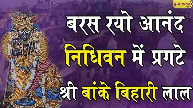 बरस रयो आनंद निधिवन में प्रगटे श्री बांके बिहारी लाल भजन लिरिक्स